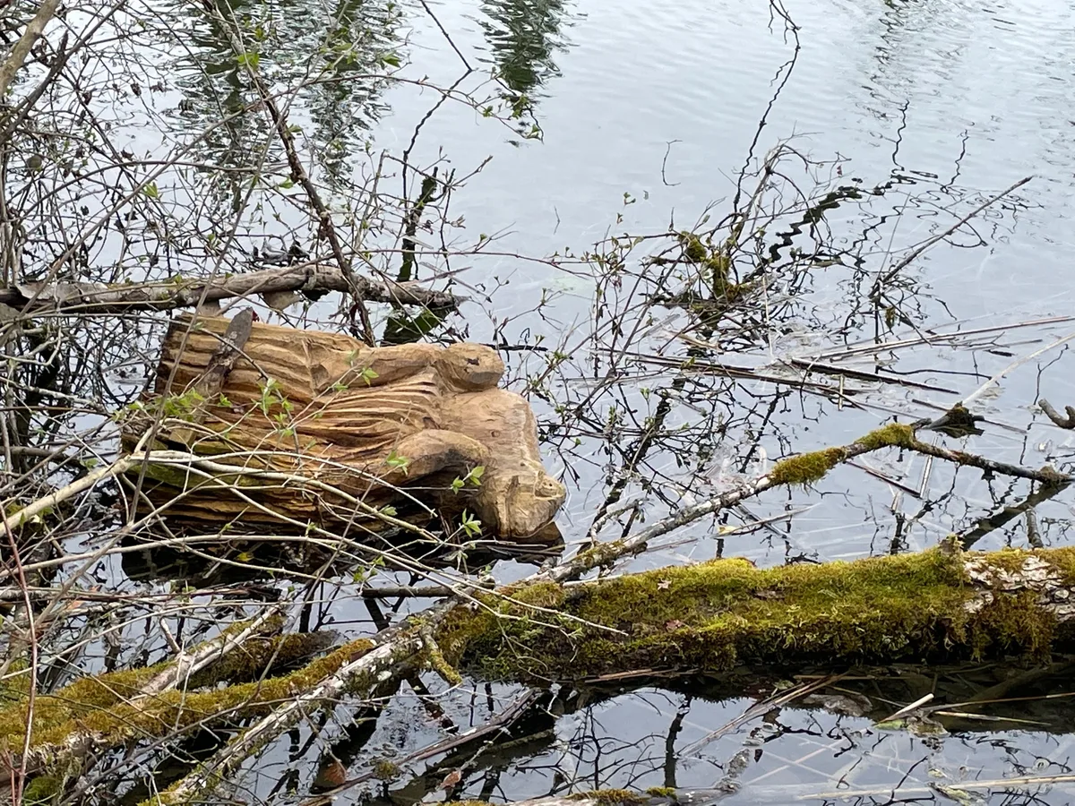 Man sieht eine umgestürzte Holzskulptur, die in einem Weiher versenkt wurde.